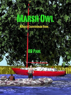 cover image of Marsh Owl